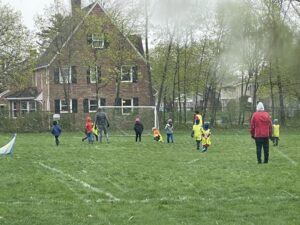 IMG_8281__1__large IMG_8281__1__large